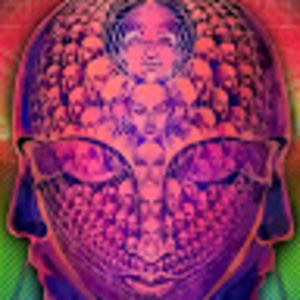 Meet your Posher, Paul